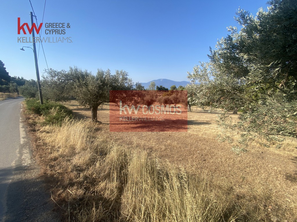 Αγροτεμάχια 5.366 τ.μ. προς πώληση, Νεροτριβιά