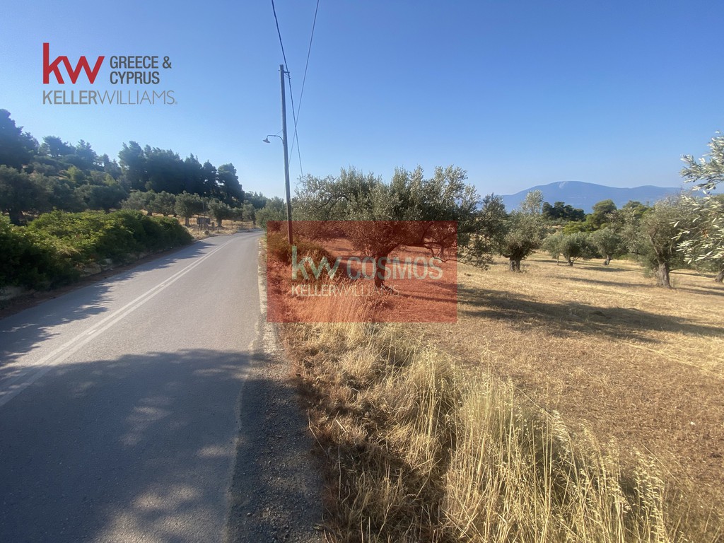 Αγροτεμάχια 5.366 τ.μ. προς πώληση, Νεροτριβιά