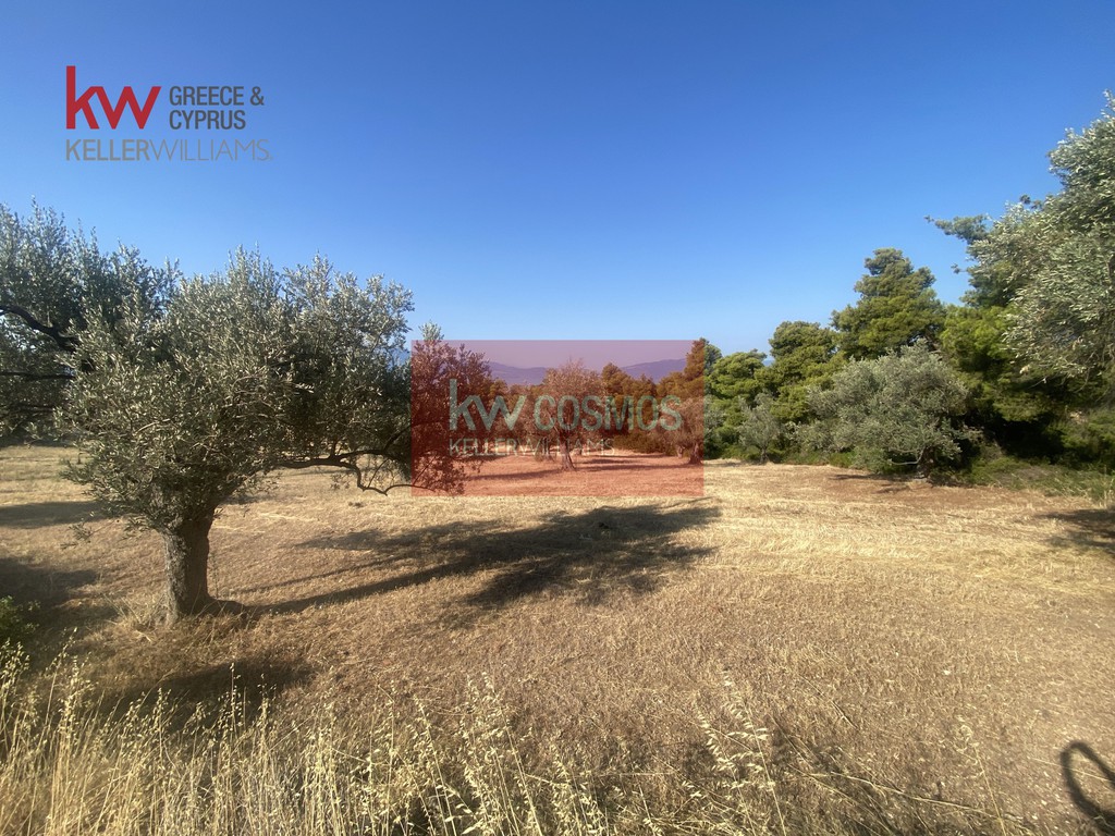 Αγροτεμάχια 5.366 τ.μ. προς πώληση, Νεροτριβιά