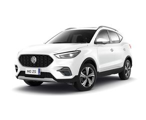 Mg ZS 2024