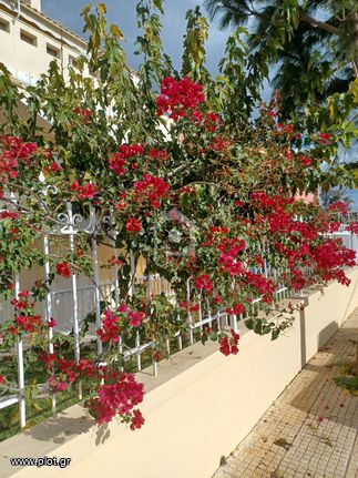Διαμέρισμα 75 τ.μ. για ενοικίαση, Αττική - Υπόλοιπο, Μέγαρα
