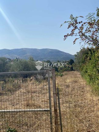Land plot 1.800 sqm for sale, Thesprotia, Igoumenitsa