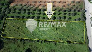 Land plot 4.839 sqm for sale