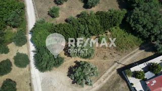 Parcel 1.250 sqm for sale