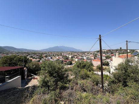 Οικόπεδο 330τ.μ. για πώληση-Φίλιπποι » Αμυγδαλεώνας