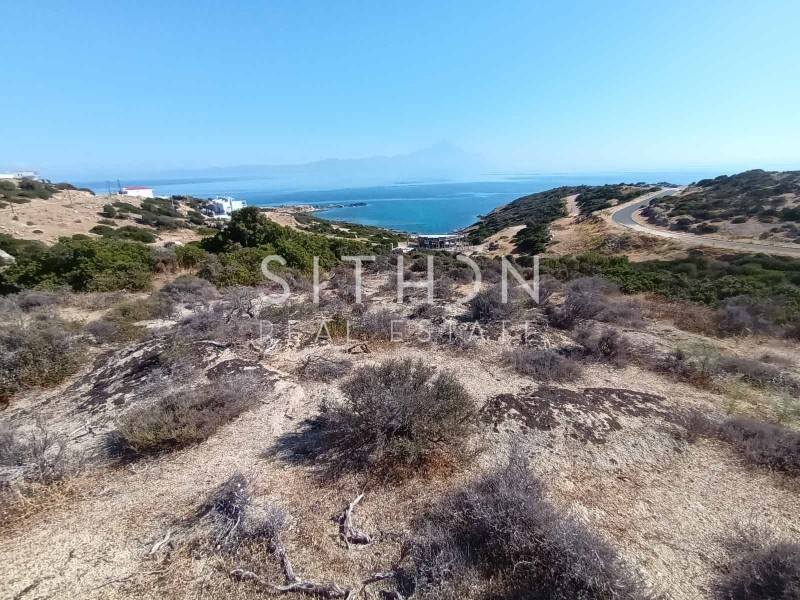 Οικόπεδο 500 τ.μ. πρός πώληση, Χαλκιδική, Τορώνη
