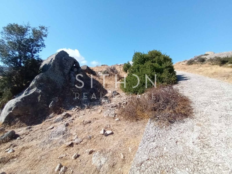 Οικόπεδο 500 τ.μ. πρός πώληση, Χαλκιδική, Τορώνη