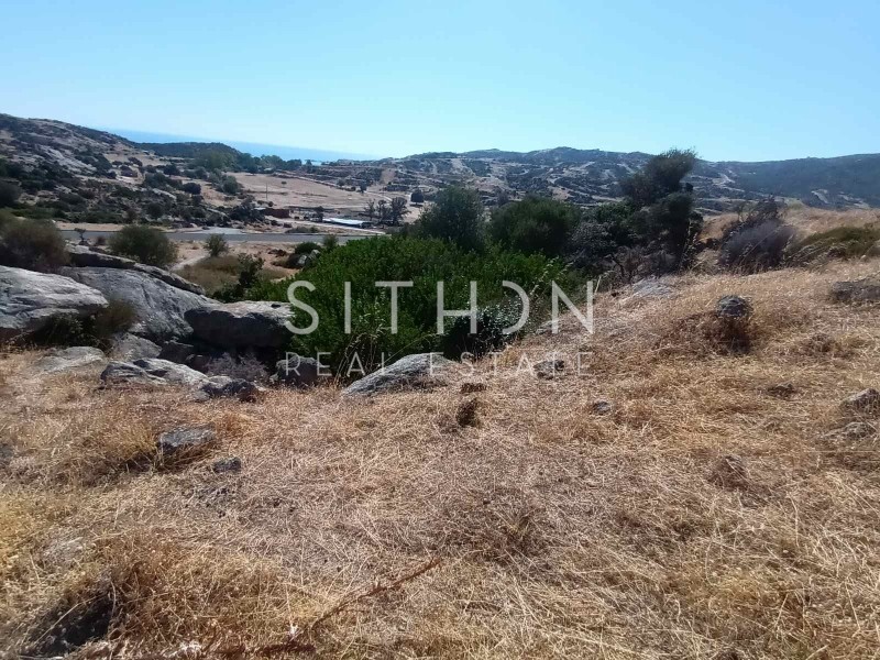 Οικόπεδο 500 τ.μ. πρός πώληση, Χαλκιδική, Τορώνη