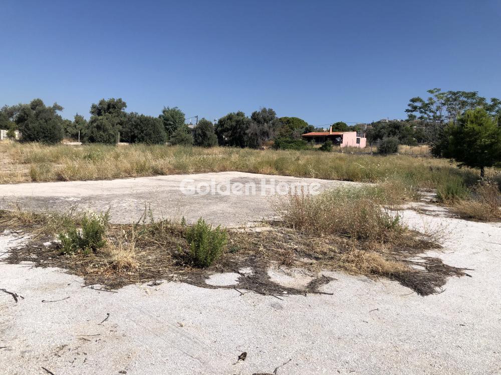 Οικόπεδο 2.200 τ.μ. προς ενοικίαση, Κέντρο Παλλήνης