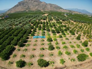 Οικόπεδο 10.514 τ.μ. για πώληση, Αργολίδα, Άργος-thumb-20