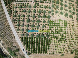 Οικόπεδο 10.514 τ.μ. για πώληση, Αργολίδα, Άργος-thumb-16