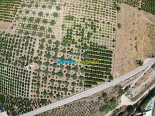 Οικόπεδο 10.514 τ.μ. για πώληση, Αργολίδα, Άργος-thumb-14