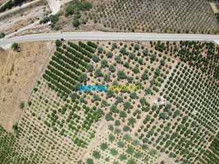 Οικόπεδο 10.514 τ.μ. για πώληση, Αργολίδα, Άργος-thumb-12