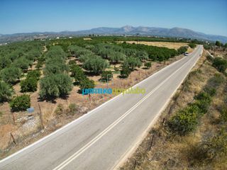 Οικόπεδο 10.514 τ.μ. για πώληση, Αργολίδα, Άργος-thumb-8