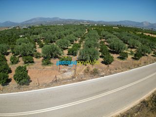 Οικόπεδο 10.514 τ.μ. για πώληση, Αργολίδα, Άργος-thumb-7