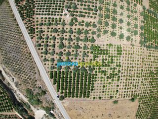 Οικόπεδο 10.514 τ.μ. για πώληση, Αργολίδα, Άργος-thumb-15