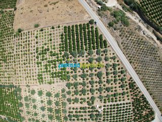 Οικόπεδο 10.514 τ.μ. για πώληση, Αργολίδα, Άργος-thumb-13