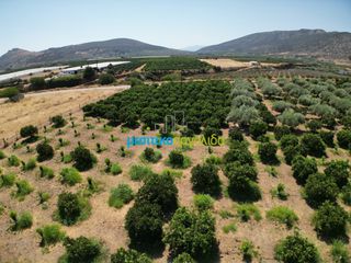 Οικόπεδο 10.514 τ.μ. για πώληση, Αργολίδα, Άργος-thumb-11