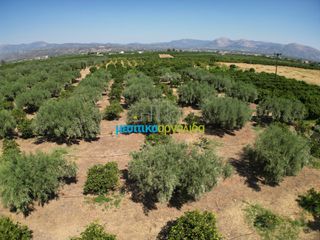 Οικόπεδο 10.514 τ.μ. για πώληση, Αργολίδα, Άργος-thumb-9