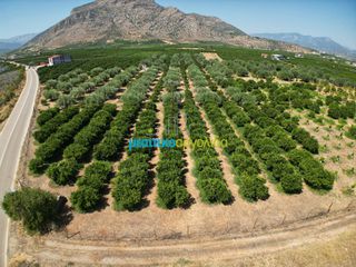 Οικόπεδο 10.514 τ.μ. για πώληση, Αργολίδα, Άργος-thumb-18