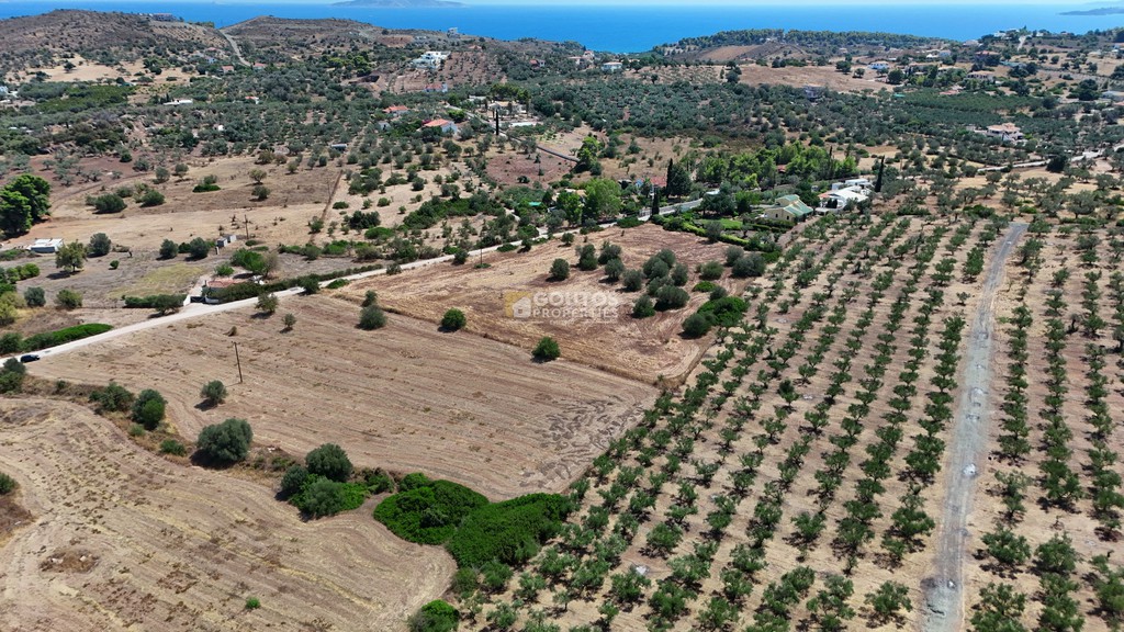Οικόπεδο 4.590 τ.μ. προς πώληση, Κινέτα Ερμιόνης
