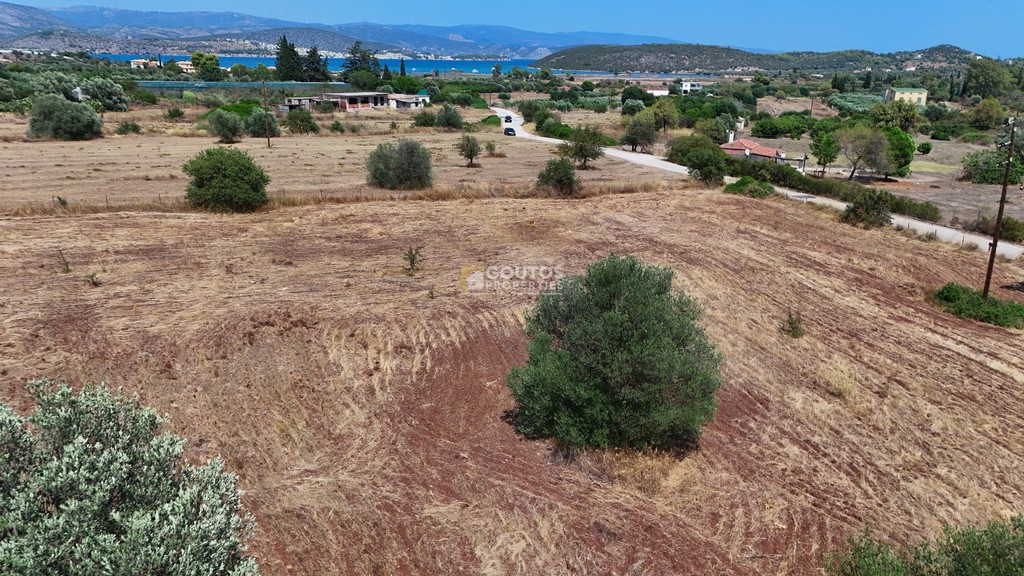 Οικόπεδο 4.590 τ.μ. προς πώληση, Κινέτα Ερμιόνης