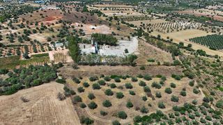 Αγροτεμάχια 5.933,80 τ.μ. για πώληση, Αργολίδα, Κρανίδι-thumb-9