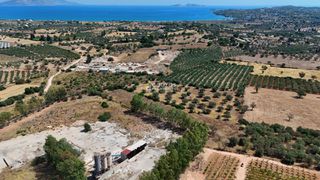 Αγροτεμάχια 5.933,80 τ.μ. για πώληση, Αργολίδα, Κρανίδι-thumb-3