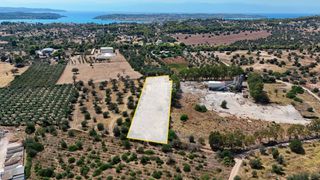 Αγροτεμάχια 5.933,80 τ.μ. για πώληση, Αργολίδα, Κρανίδι-thumb-13