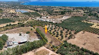 Αγροτεμάχια 5.933,80 τ.μ. για πώληση, Αργολίδα, Κρανίδι-thumb-20