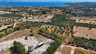 Αγροτεμάχια 5.933,80 τ.μ. για πώληση