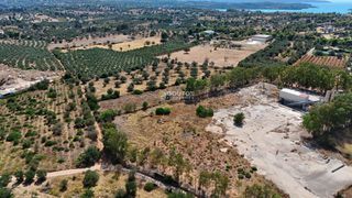 Αγροτεμάχια 5.933,80 τ.μ. για πώληση, Αργολίδα, Κρανίδι-thumb-14