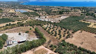 Αγροτεμάχια 5.933,80 τ.μ. για πώληση, Αργολίδα, Κρανίδι-thumb-4