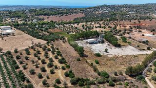 Αγροτεμάχια 5.933,80 τ.μ. για πώληση, Αργολίδα, Κρανίδι-thumb-11