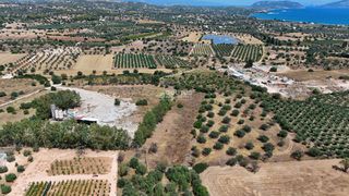 Αγροτεμάχια 5.933,80 τ.μ. για πώληση, Αργολίδα, Κρανίδι-thumb-5