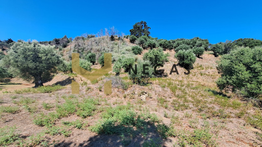 Οικόπεδο 8.718 τ.μ. πρός πώληση, Ζάκυνθος, Περιοχη Χώρας