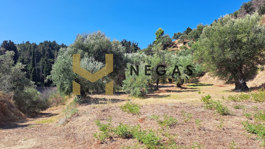 Οικόπεδο 8.718 τ.μ. πρός πώληση, Ζάκυνθος, Περιοχη Χώρας