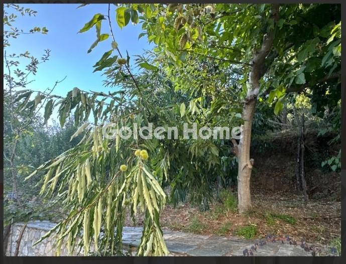 Συγκρότημα διαμερισμάτων 170 τ.μ. πρός πώληση, Μαγνησία, Μηλιές