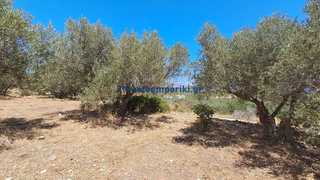 Οικόπεδο 1.000 τ.μ. προς πώληση, Πλάκα Βάμου