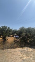 Οικόπεδο 8.721 τ.μ. για πώληση, Ν. Ηρακλείου, Καστέλλι-thumb-2