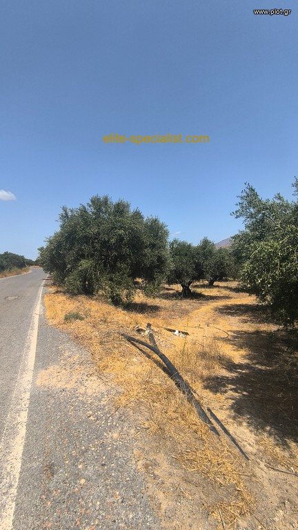 Οικόπεδο 8.721 τ.μ. προς πώληση, Λιλιανό
