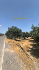Οικόπεδο 8.721 τ.μ. για πώληση, Ν. Ηρακλείου, Καστέλλι-thumb-1