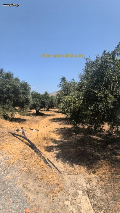 Οικόπεδο 8.721 τ.μ. προς πώληση, Λιλιανό