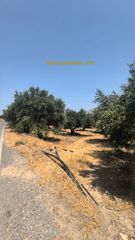 Οικόπεδο 8.721 τ.μ. για πώληση, Ν. Ηρακλείου, Καστέλλι-thumb-5