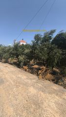 Οικόπεδο 8.721 τ.μ. για πώληση, Ν. Ηρακλείου, Καστέλλι-thumb-6