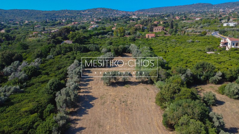 Οικόπεδο 13.302,71 τ.μ. προς πώληση, Καμποχώρια