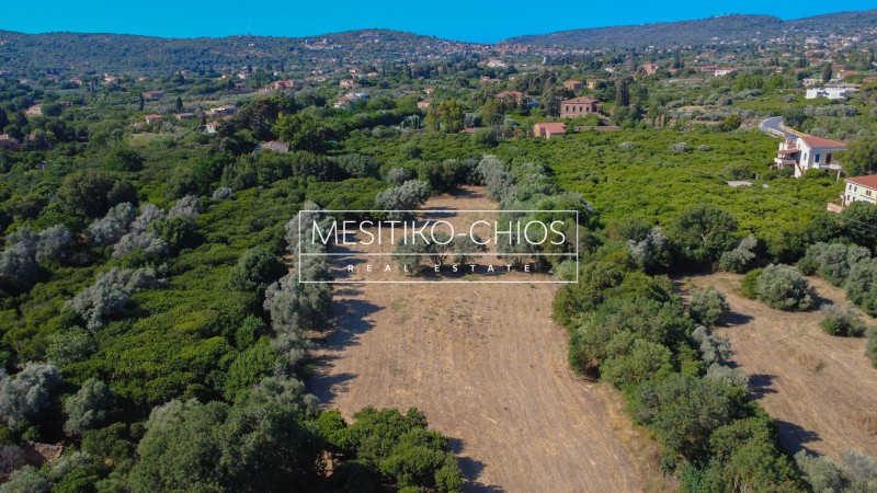 Οικόπεδο 13.302,71 τ.μ. προς πώληση, Καμποχώρια