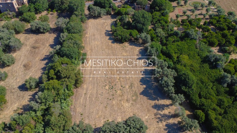 Οικόπεδο 13.302,71 τ.μ. προς πώληση, Καμποχώρια