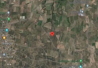 Αγροτεμάχια 11.200 τ.μ. για πώληση