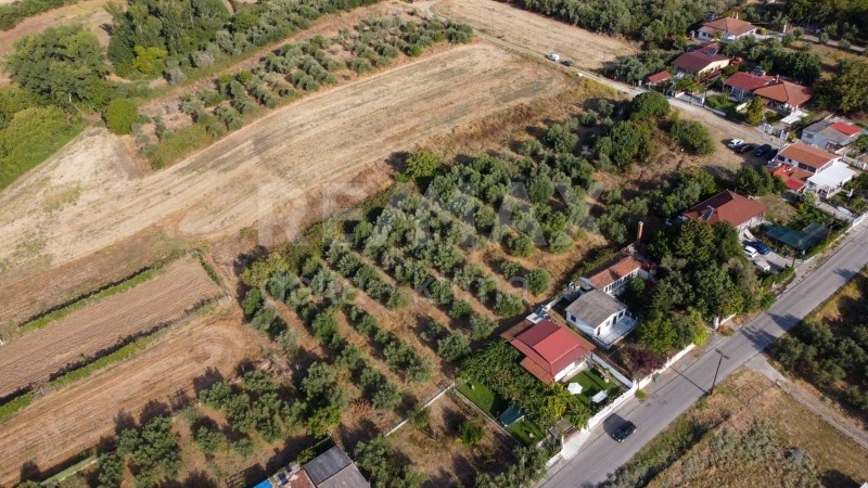 Αγροτεμάχια 2.639 τ.μ. προς πώληση, Αρχαία Πύδνα